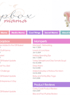 Soapbox Mama screenshot 3