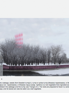The Commons Inc. screenshot 1