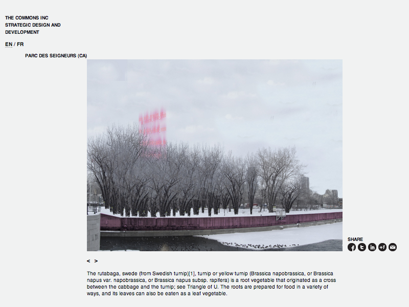 The Commons Inc. screenshot 1