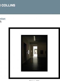 Hollinger Collins gallery screenshot 2