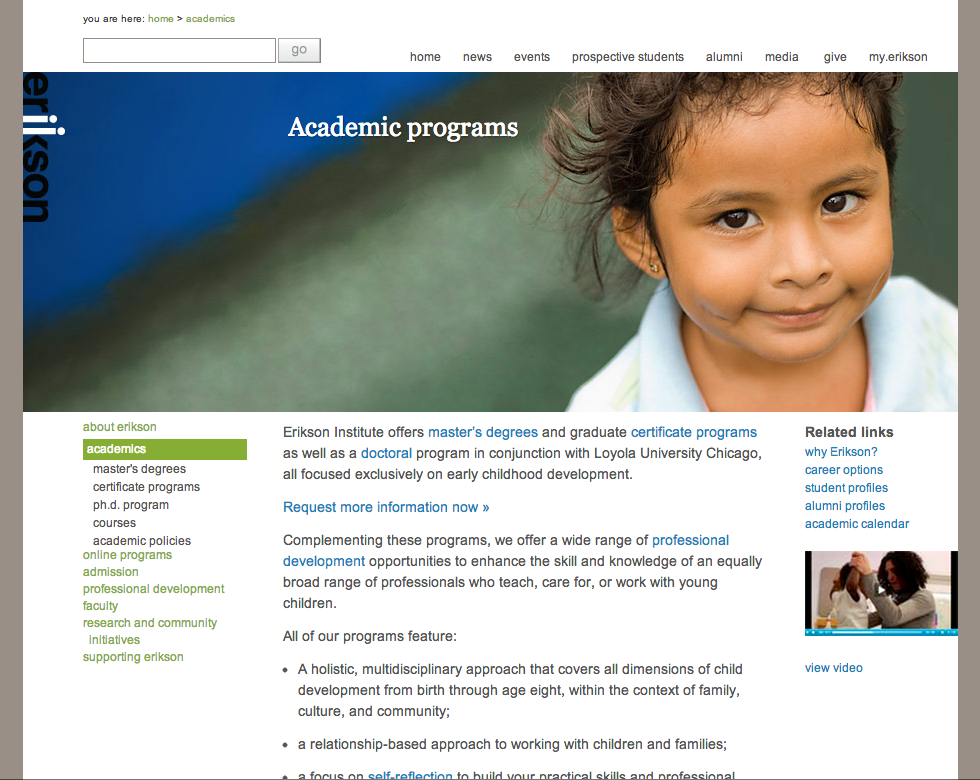 Erikson screenshot 3