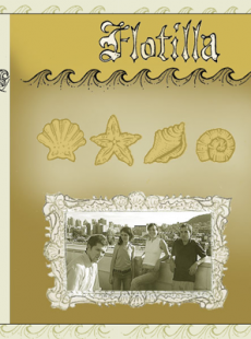 Flotilla screenshot 1