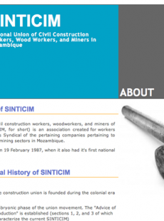 SINTICIM screenshot 3